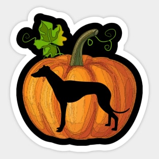 Greyhound in pumpkin Sticker